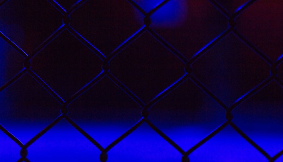 Conor McGregor Eyes 2025 Presidential Bid